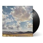 AMERICAN AQUARIUM - FEAR OF STANDING STILLTHE Vinyl Record
