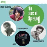 Various - The Stars Of Spring Records Vinyl Record