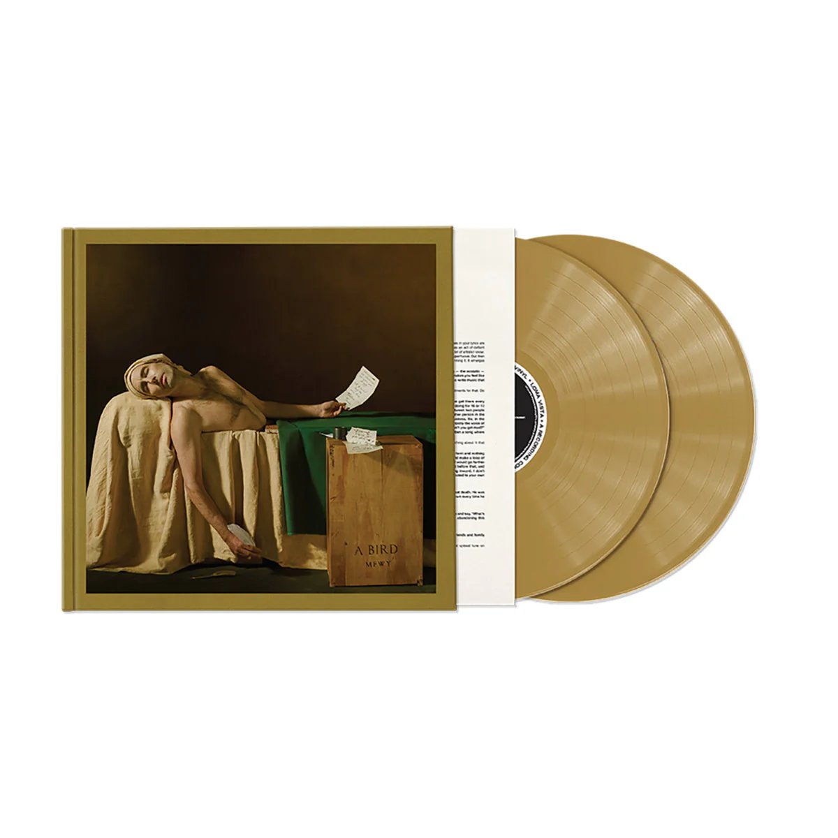LVR00617.jpg ANDREW BIRD - My Finest Work Yet (Gold Vinyl) Vinyl Record - Image 1