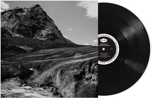 LVR3771.jpg Andrew Bird - Outside Problems Vinyl Record - Image 1