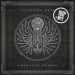 COUNTING DAYS - Liberated Sounds Vinyl Record
