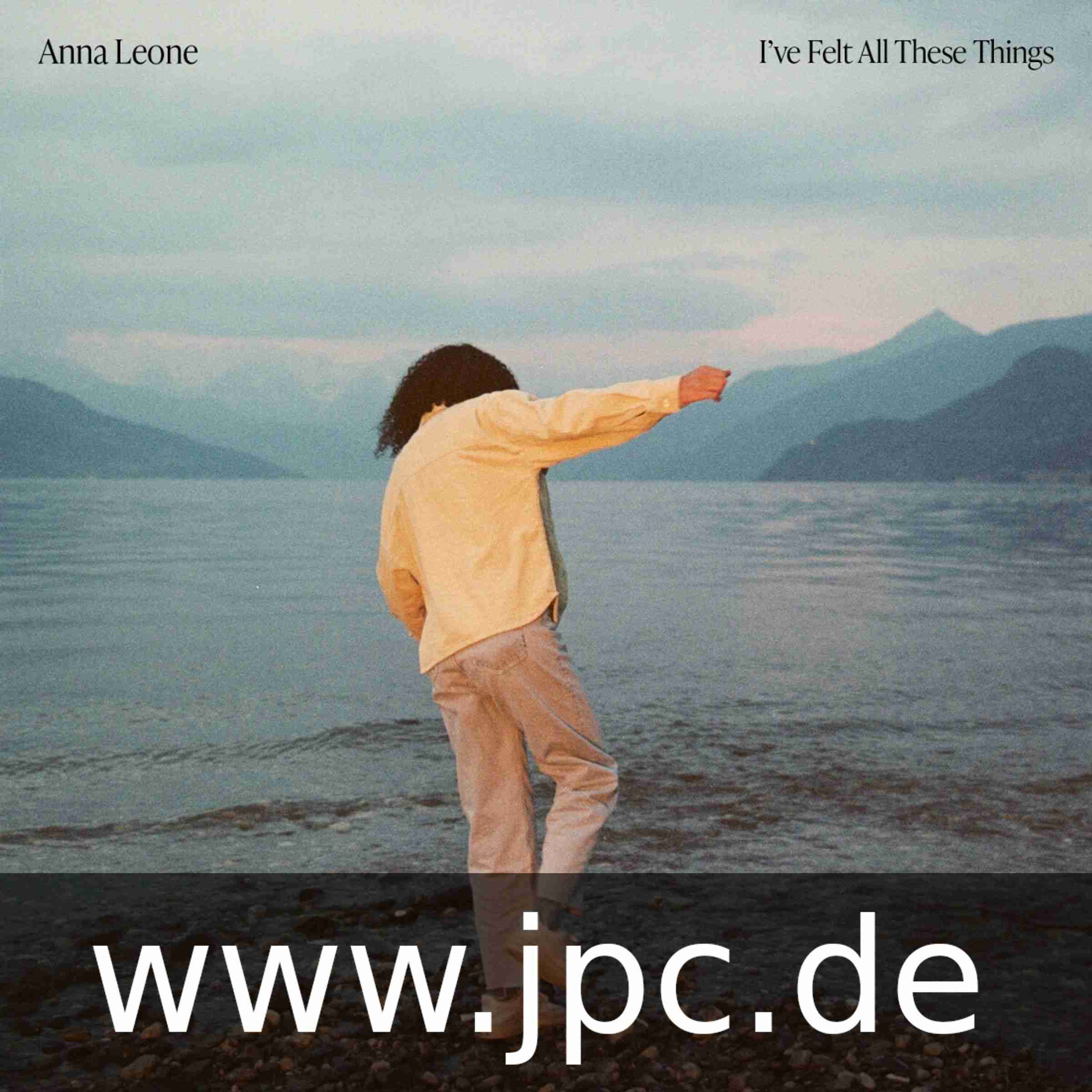 M7478.jpg ANNA LEONE - IVE FELT ALL THESE THINGS Vinyl Record - Image 1