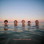 DELIGHTS - If Heaven Looks A Little Like This (Orange Vinyl)