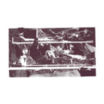 GELSON OLIVEIRA & LUIZ EWERLING - Terra