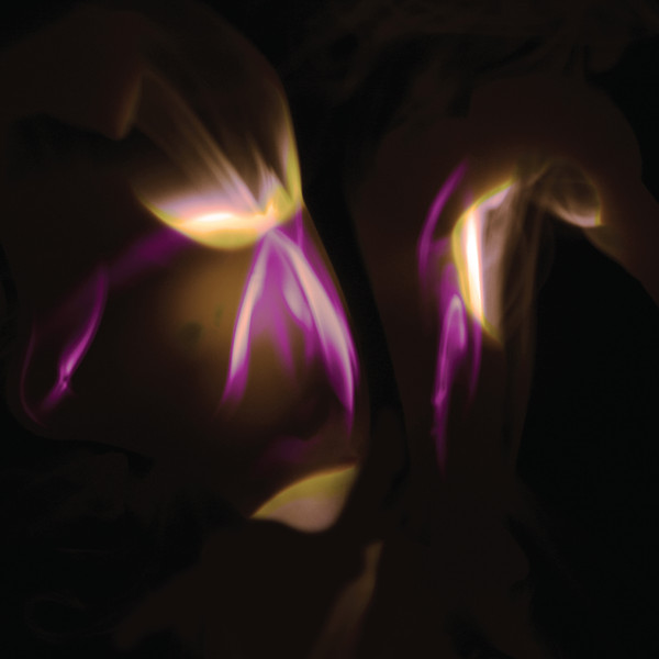 MD322.jpg SHEDIR - BEFORE THE LAST LIGHT IS BLOWN - Image 1