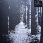 STRAY THEORIES - FALTER