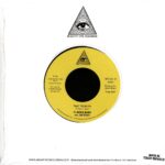 BOGIE BAND - The Witnesses / Take Them On (Feat. Joe Russo) Vinyl Record