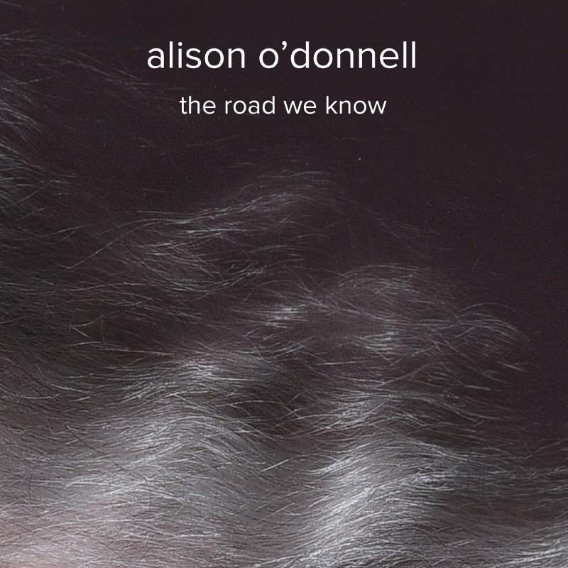 MEGA8.jpg ALISON ODONNELL - The Road We Know Vinyl Record - Image 1