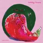 EXPLODING FLOWERS - WATERMELON/PEACOCK