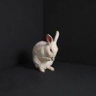 BRUME - Rabbits Vinyl Record