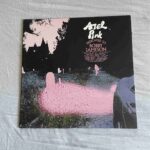 ARIEL PINK - DEDICATED TO BOBBY JAMESON Vinyl Record
