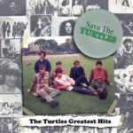 TURTLES THE - SAVE THE TURTLES  THE TURTLES