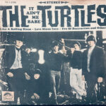 TURTLES - IT AINT ME BABE