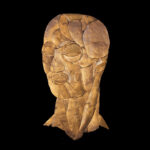 ROBERT PIOTROWICZ - Euzebio
