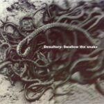 DESULTORY - Swallow The Snake (Sunburst Yellow/Red Vinyl)