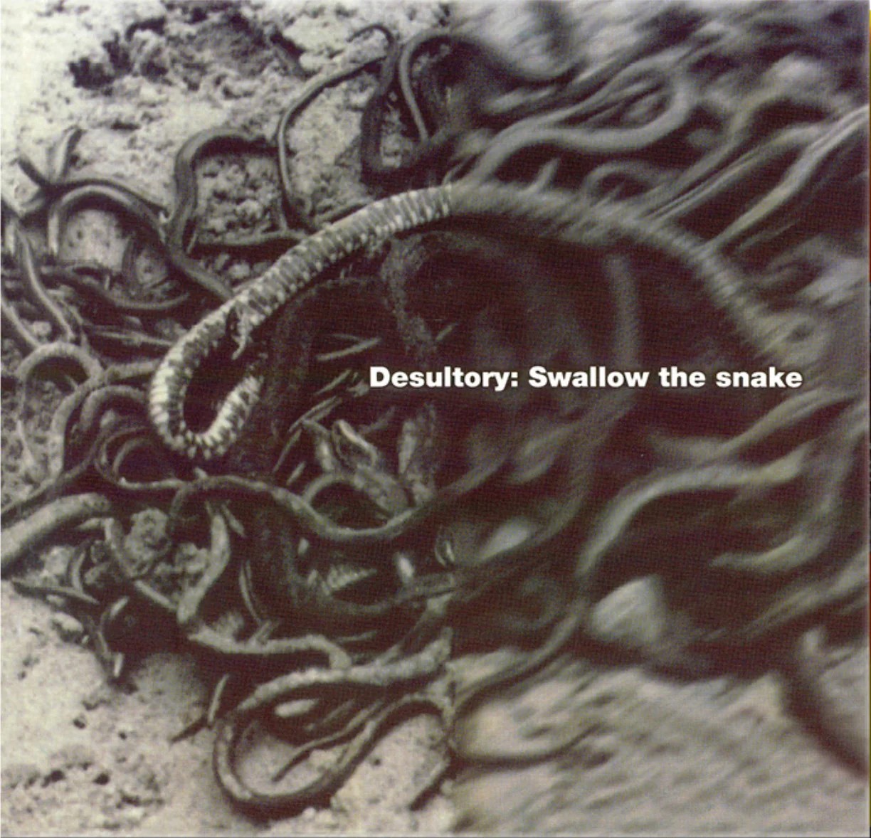 MIMB006.jpg DESULTORY - Swallow The Snake (Orange Crystal Vinyl) - Image 1