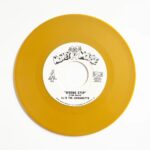 AJ & THE JIGGAWATTS - WRONG STEP / KARMA IS A BITCH Vinyl Record
