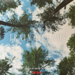BRYCE DESSNER - TRAIN DREAMS