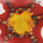 Blind Melon - Blind Melon (1LP) Vinyl Record