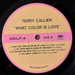 Terry Callier - What Color Is Love (1LP) Vinyl Record
