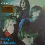Cuby and The Blizzards - Desolation (1LP Coloured) Vinyl Record
