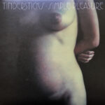 Tindersticks - Simple Pleasures (2LP)