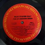 Blue Oyster Cult - Fire Of Unknown Origin (1LP Black) Vinyl Record