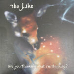 THE LIKE - ARE YOU THINKING WHAT IM THIN