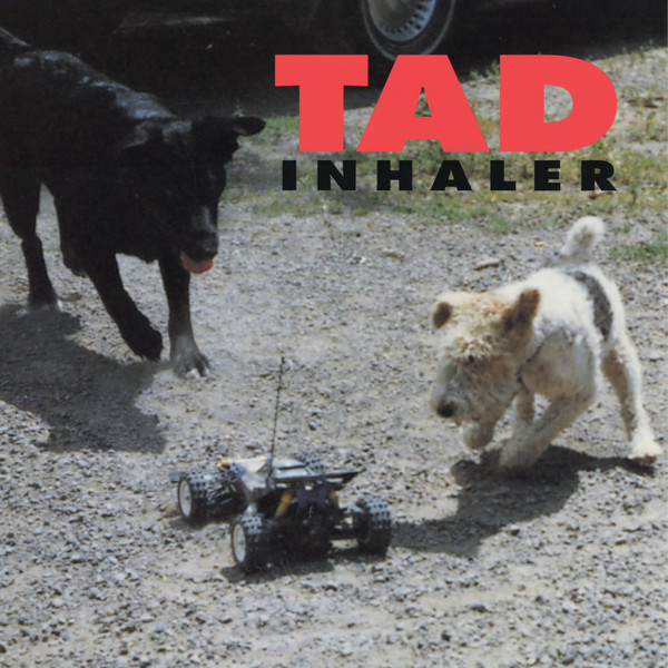 MOVLP3695.jpg TAD - INHALER - Image 1