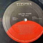 Call - Into The Woods (1LP Coloured) Vinyl Record