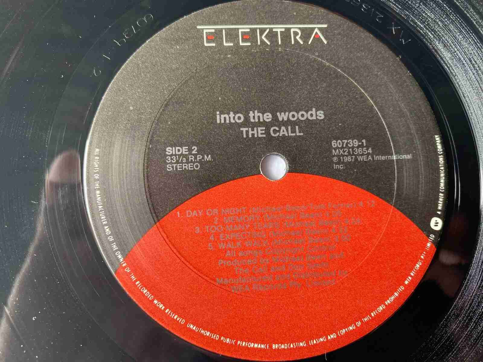 MOVLP3829C.jpg Call - Into The Woods (1LP Coloured) Vinyl Record - Image 1