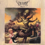 Screaming Trees - Uncle Anesthesia (1LP)