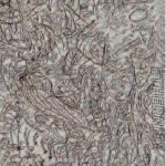 SIMONA ZAMBOLI - ETHERNITY