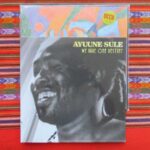 AYUNNE SULE - We Have One Destiny Vinyl Record