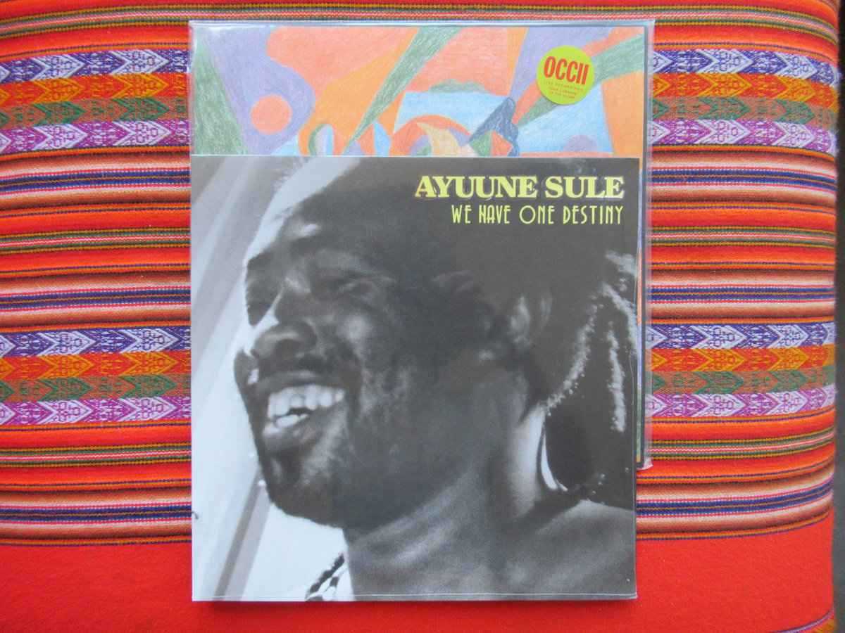 MR23LP.jpg AYUNNE SULE - We Have One Destiny Vinyl Record - Image 1
