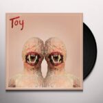 A GIANT DOG - TOY Vinyl Record