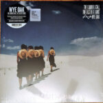 WYE OAK - THE LOUDER I CALL, THE FASTER IT RUNS
