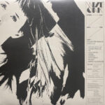 WYE OAK - EVERY DAY LIKE THE LAST : COLLECTED SINGLES 20