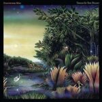 Fleetwood Mac - Tango in the Night Vinyl