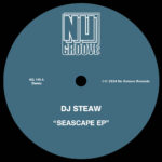 DJ Steaw - Seascape EP