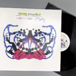 BONNIE "PRINCE" BILLY, NATHAN SALSBURG, & TYLER TR - HIGH AND HIGH AND MIGHTY Vinyl Record