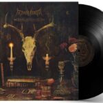 AETHER REALM - REDNECK VIKINGS FROM HELL Vinyl Record