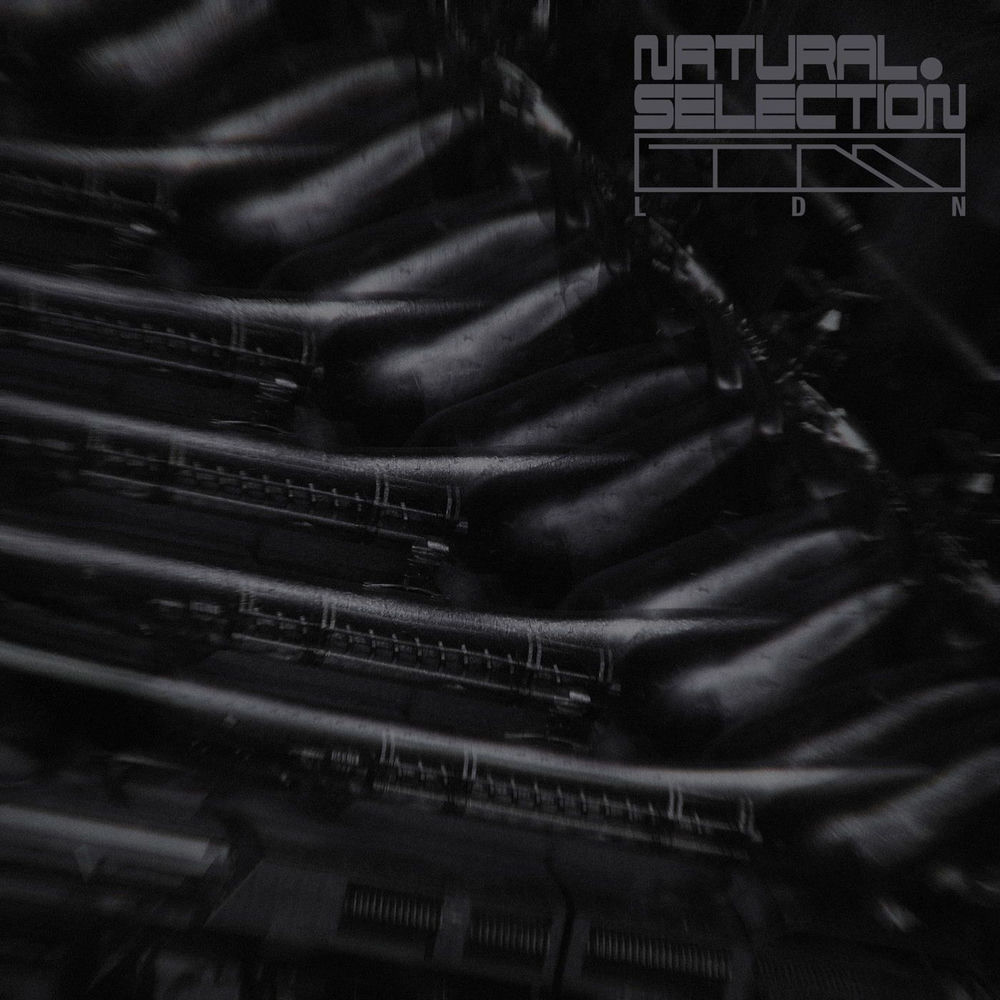 NS008.jpg Swarm Intelligence - Radiance EP - Image 1