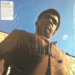 SYL JOHNSON - WE DO IT TOGETHER