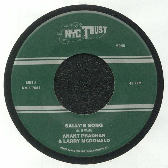 NYCT7081.jpg Anant Pradhan & Larry McDonald - Sally's Song Vinyl Record - Image 1
