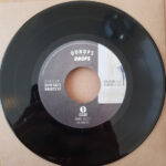 Shin-Ski - Diggin' Shin-Ski's Vaults EP