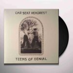 CAR SEAT HEADREST - TEENS OF DENIAL Vinyl Record