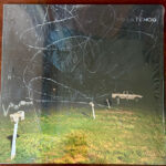 YO LA TENGO - THIS STUPID WORLD