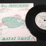 AVOCADOS - I Never Knew Vinyl Record