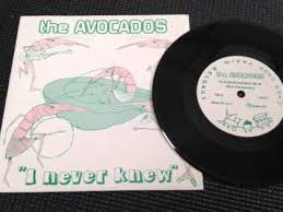 ON412.jpg AVOCADOS - I Never Knew Vinyl Record - Image 1